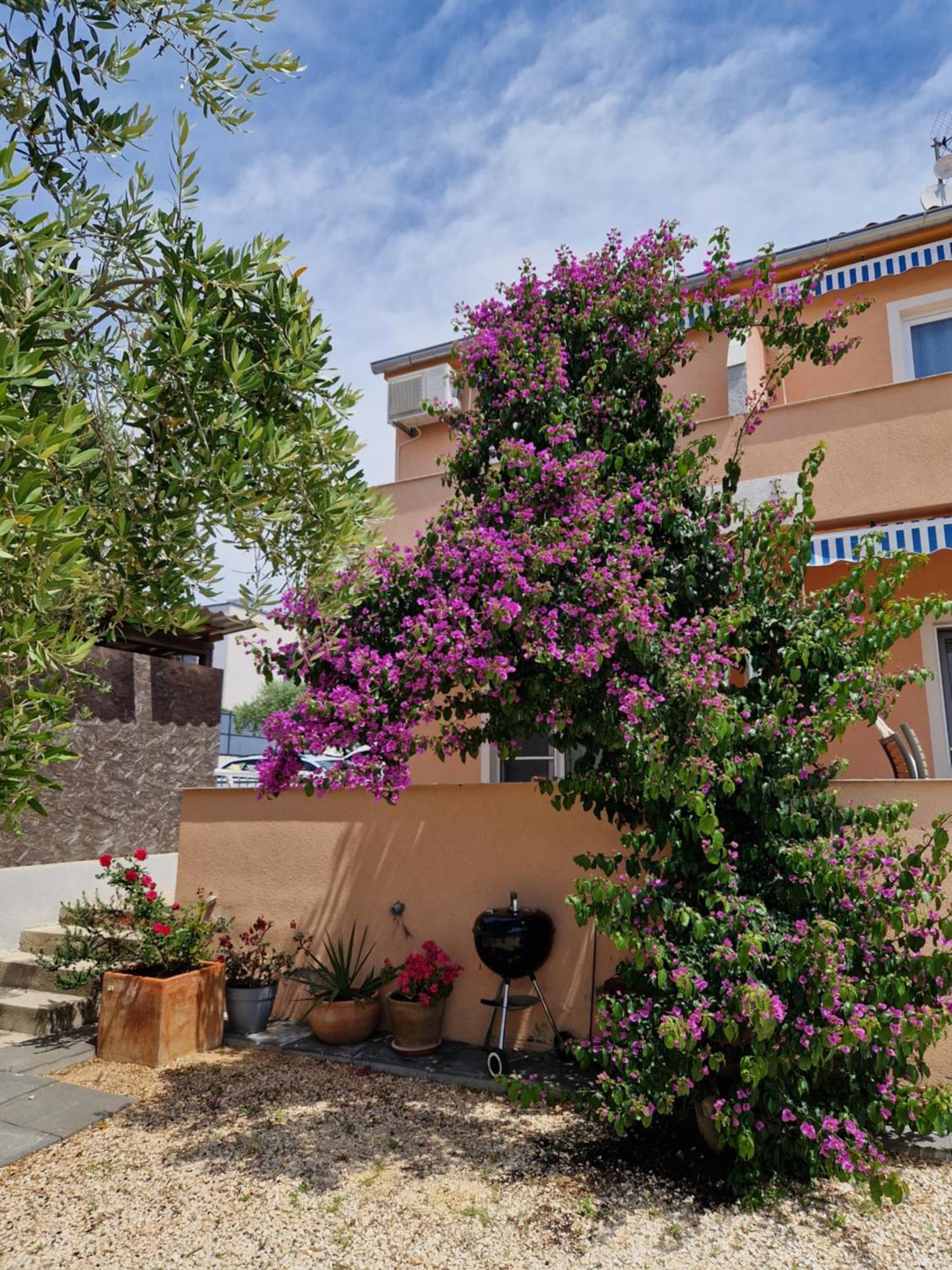 Apartment Cudina Beach Apartmens